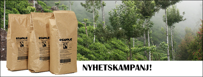 Nyhetskampanj